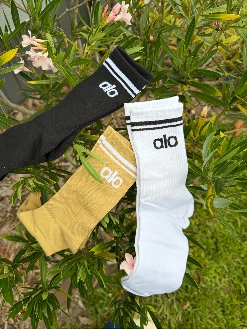 ALO Yoga Crew Socks - White, Mustard, Black (3-Pack)